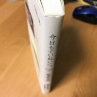 今日もていねいに。 : 暮らしのなかの工夫と発見ノート