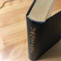 日本福音ルーテル教会史