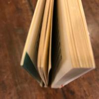 親鸞  【岩波新書】
