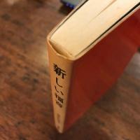 新しい福音 : イエスの譬えによる信仰入門