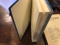 アメリカ文学史　増補版