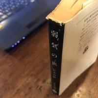 弱気の虫