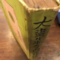 大盗日本左衛門