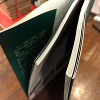 新疆行　走進令人神往的寶地　/中国語　ISBN7-228-05846-1