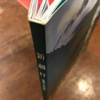 新疆行　走進令人神往的寶地　/中国語　ISBN7-228-05846-1