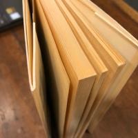 マンガ漫画の魅力　対談　手塚治虫