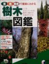 葉 実 樹皮で確実にわかる 樹木図鑑　実用BEST BOOKS