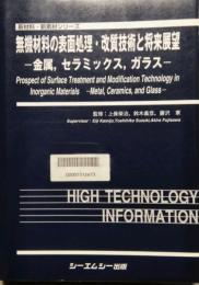 無機材料の表面処理・改質技術と将来展望　金属,セラミックス,ガラス　新材料・新素材シリーズ