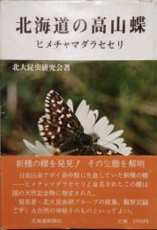 北海道の高山蝶　ヒメチャマダラセセリ