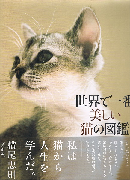 世界で一番美しい猫の図鑑 タムシン ピッケラル アストリッド ハリソン 写真 ケルン書房 古本 中古本 古書籍の通販は 日本の古本屋 日本の古本屋