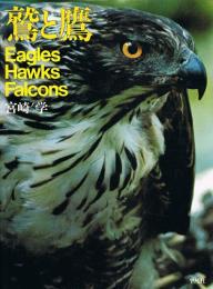 鷲と鷹　Eagles Hawks Falcons
