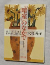 「暗室」のなかで　吉行淳之介と私が隠れた深い穴　（河出文庫）