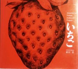 いちご　STRAWBERRIES