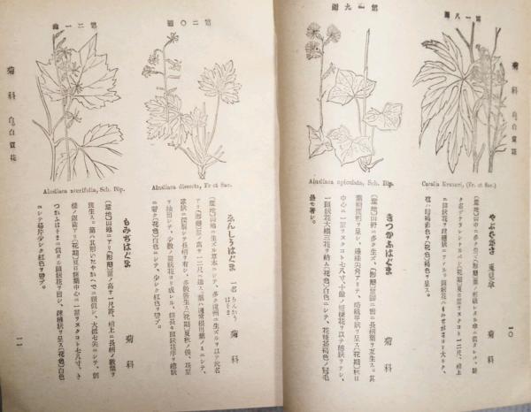 牧野富太郎 校訂 「萬花図鑑」8巻セット 100年前のボタニカルアート  辻永著 ちょうど100年前に出版された、植物学者・牧野富太郎の代表作