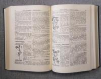 Wörterbuch der Deutschen Pflanzennamen　(全4巻＋Register band ) 5冊セット