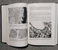 Toxicology Letters vol. 24ー25 1985年 JanuaryーJune　合本厚冊