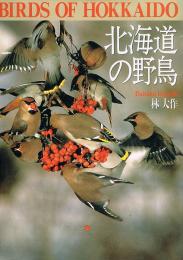 北海道の野鳥