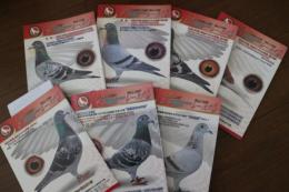 レース鳩2022年　不揃い7冊　（3月・4月・5月・7月・9月・11月・12月）