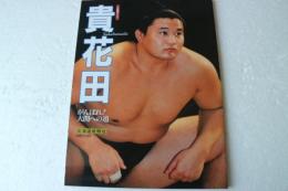 大相撲グラフ貴花田-がんばれ！大関への道 (雑誌)