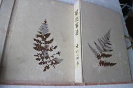風流百話