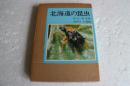 北海道の昆虫