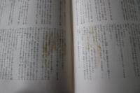 大衆文学大系（13）　