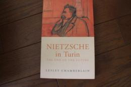 Nietzsche in Turin: The End of the Future　【洋書】