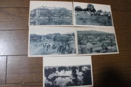 絵葉書　札幌停車場前・札幌市街・札幌区中島公園・北海道庁・北海道庁種畜場（昭和初期？）　