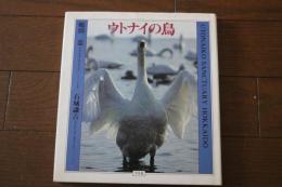 ウトナイの鳥