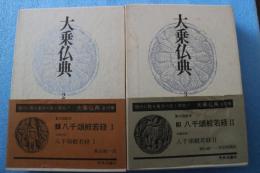 大乗仏典（2）（3）　八千頌般若経編全２冊揃