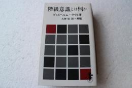 階級意識とは何か　（三一新書）