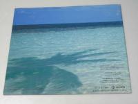 自動車カタログ　トヨタ　ハイラックス　サーフ　HILUX SURF