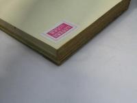 飛行機の本　人間が空を征服した冒険史