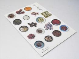 見る薬膳 王様の漢方 洋中国映画パンフレット