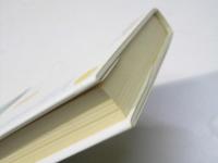 東洋医学の謎を解く　四次元の医学三焦編