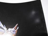 殺人魚 フライングキラー　洋映画パンフレット