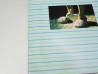 ネネットとボニ　洋映画パンフレット