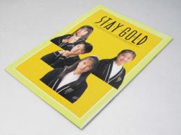 ステイ ゴールド　日本映画パンフレット