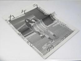 カケラ　日本映画パンフレット