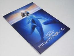 だれもがクジラを愛してる　洋映画パンフレット