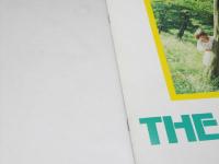 THE BIRTH 誕生の詩　洋映画パンフレット