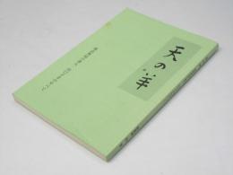 天の羊　孤高無冠の書人・山口子羊のすべて