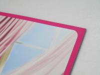 過速スキャンダル　洋韓国映画パンフレット