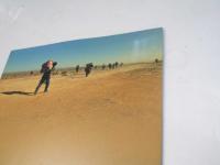 無言歌  洋香港映画パンフレット