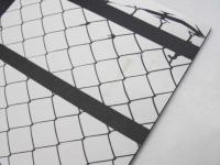 patti smith dream of life それはパティ・スミスという生き方 洋映画パンフレット