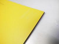 ＣＡＭＰ　キャンプ　洋映画パンフレット