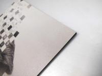 完全なるチェッメイト　洋映画パンフレット