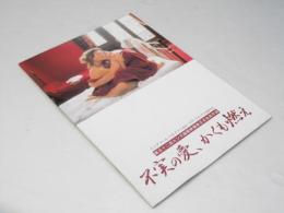 不実の愛、かくも燃え　洋スウェーデン映画パンフレット