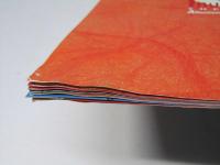 犬夜叉 時代を超える想い 日本アニメ映画パンフレット