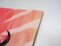 犬夜叉 紅蓮の蓬莱島 日本アニメ映画パンフレット